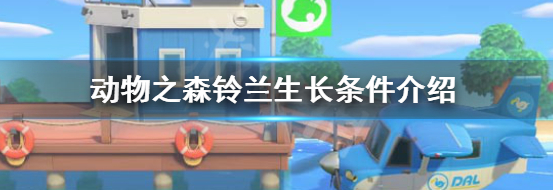 动物森友会铃兰怎么出现？铃兰生长条件攻略