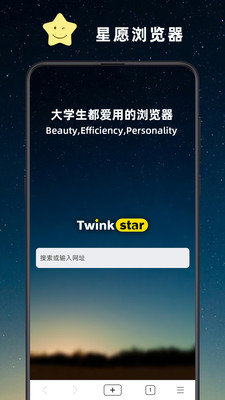 Twink浏览器